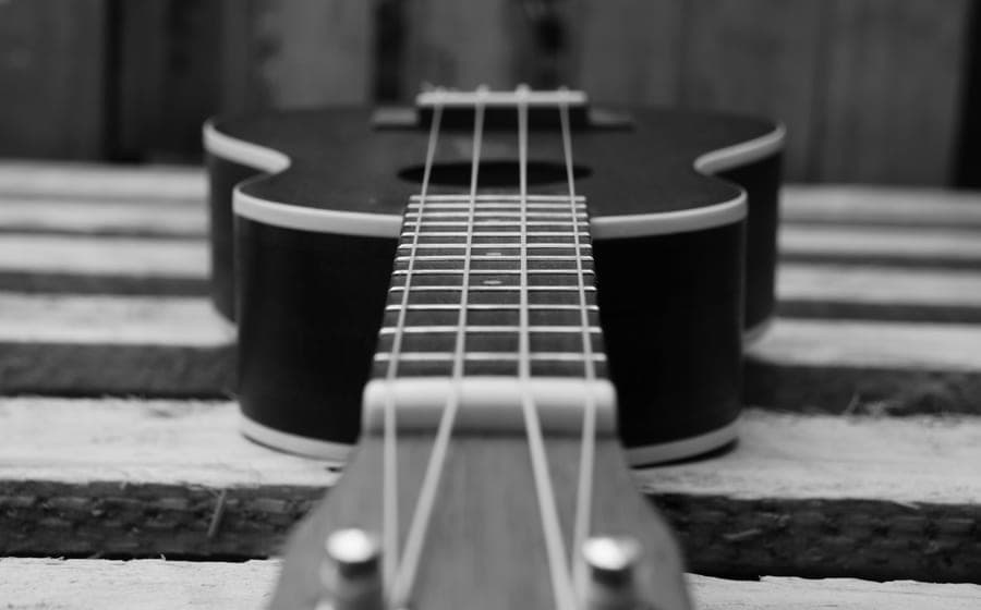 Close-up of ukulele strings and fretboard